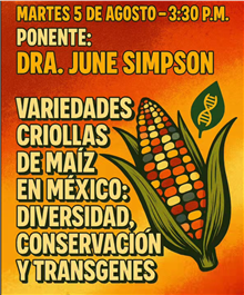 Charla Variedades criollas de maíz en México: diversidad, conservación y transgenes