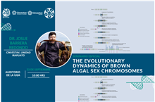 Seminario The evolutionary dinamics of brown algal sex chromosomes