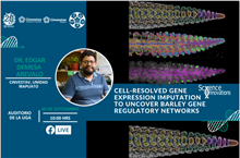 Seminario Cell-Resolved gene expression imputation to uncover barley gene regulatory networks