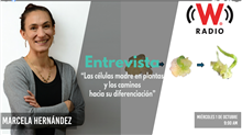Entrevista “Las Células madre en plantas y los caminos hacia su difetenciación”