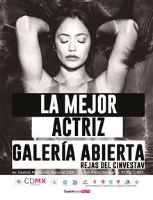Galería Abierta 