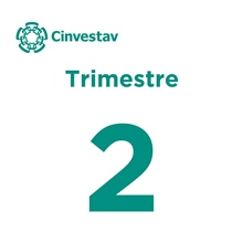 2° trimestre