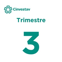 3er trimestre