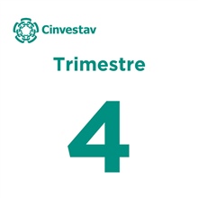 4° trimestre